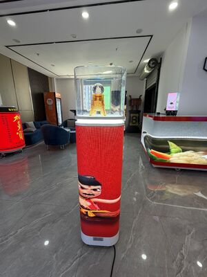 خرید ویترین LED با کنترل دما که دارای تنظیم دقیق آب و هوا و نورپردازی انرژی‌زا مناسب برای محصولات حساس است online manufacture